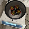 Thermo Scientific Sorvall ST8R Refrigerated Benchtop Centrifuge E-03 Error Message - Loyalty Medical
